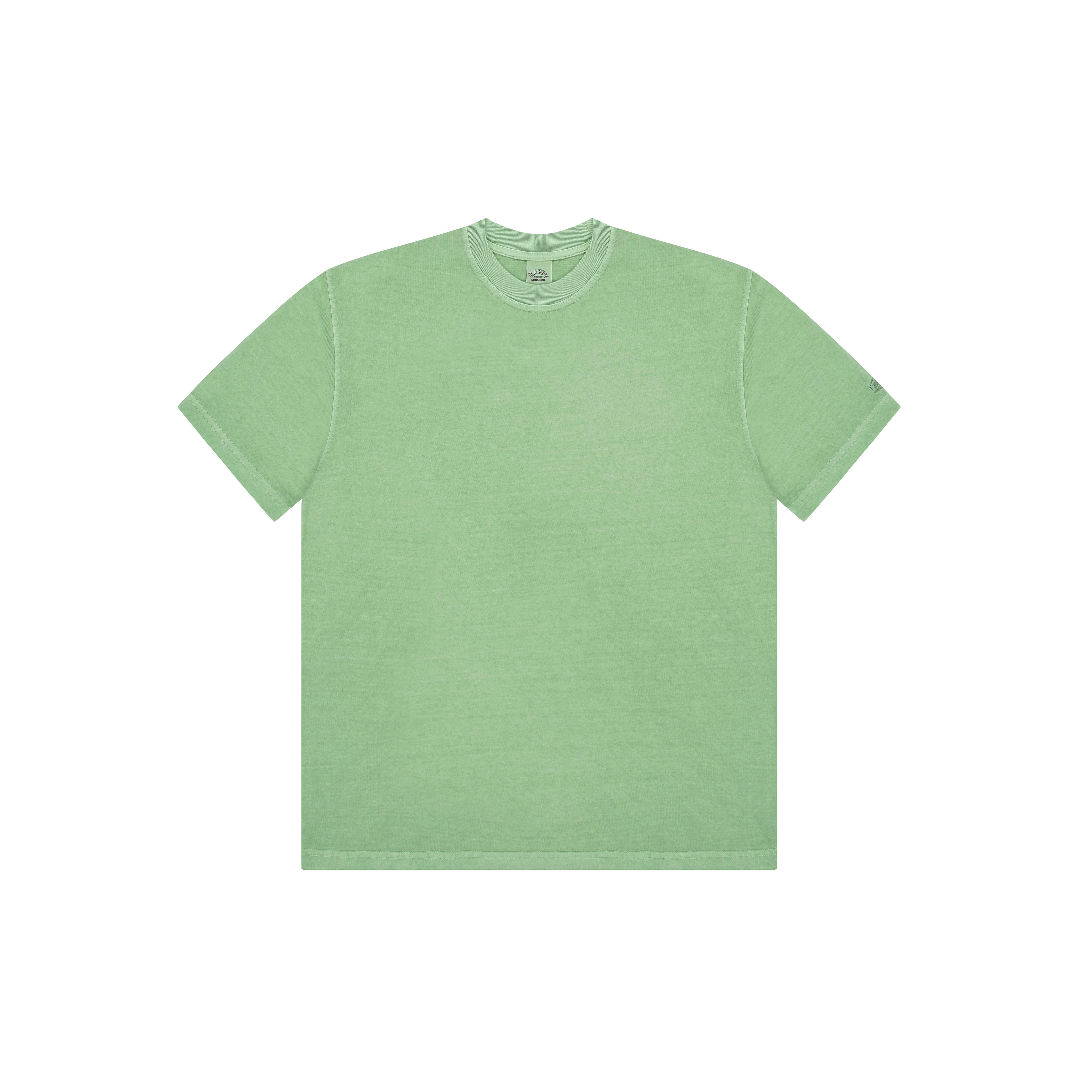 Pigment t-shirt mint